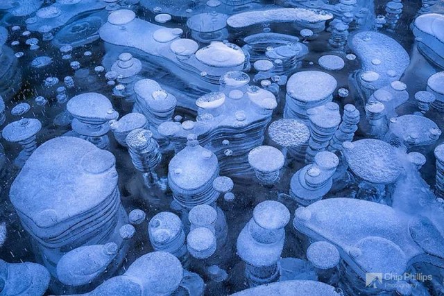 Bubbles In The Ice Of Abraham Lake In Canada