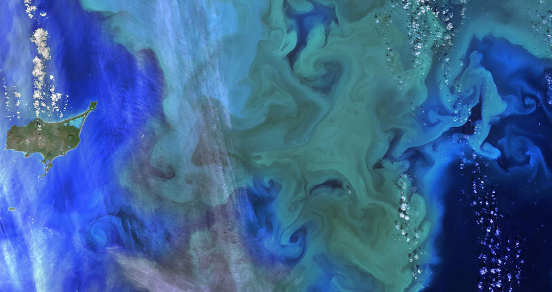 Phytoplankton bloom near Alaska’s Pribilof Islands