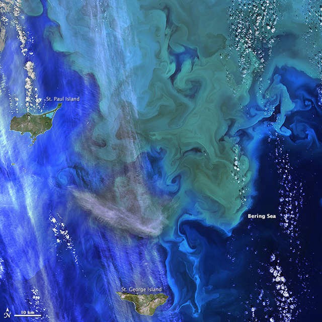 Phytoplankton bloom near Alaska’s Pribilof Islands 2