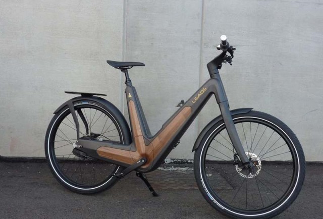 Carbon urban e-bike (1)