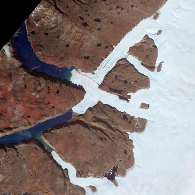 Leidy Glacier