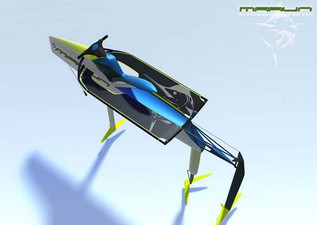 Electric Personal Hydrofoil (2)