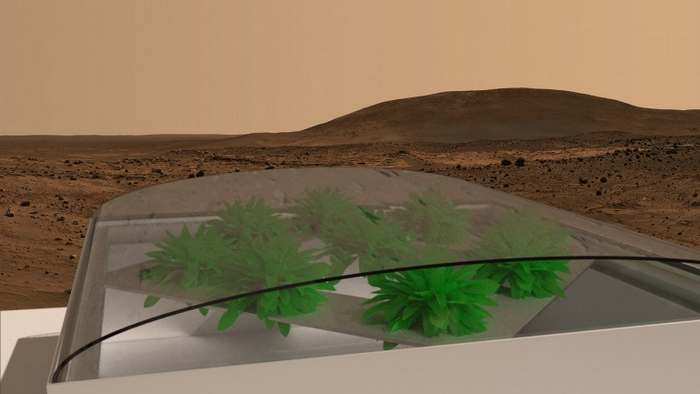 first greens on Mars