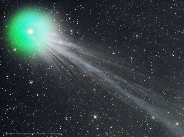 Ion Tail of Comet Lovejoy