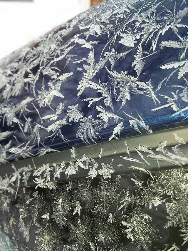 Car decorated by ice (3)