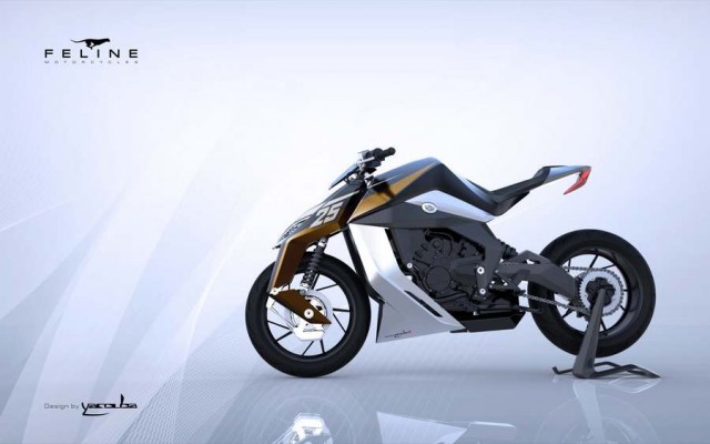 Feline motorcycle (3)