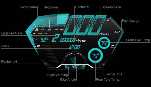 Feline motorcycle (2)