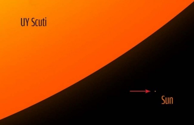 Red supergiant UY Scuti size comparison to the sun.