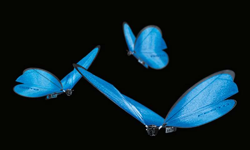 Bionic butterflies (5)