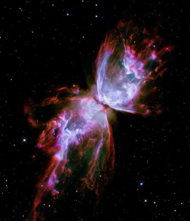 Planetary nebulae NGC 6302