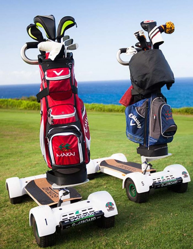 Golfboard (5)