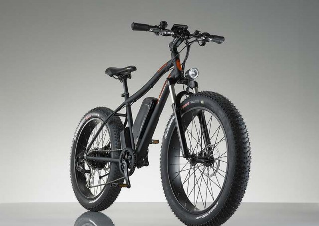 RadRover Electric bike