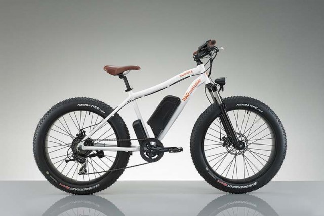 RadRover Electric bike (7)