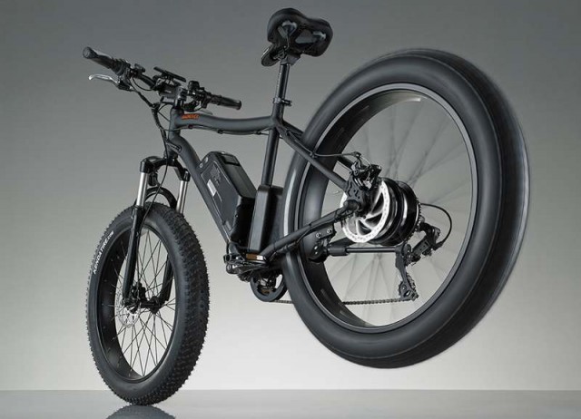 RadRover Electric bike (6)