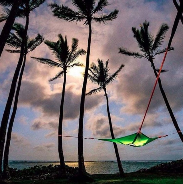 Tentsile Trillium Hammock | wordlessTech