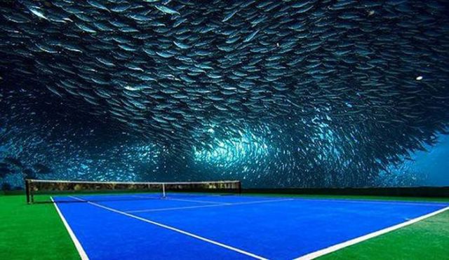 An underwater Tennis court