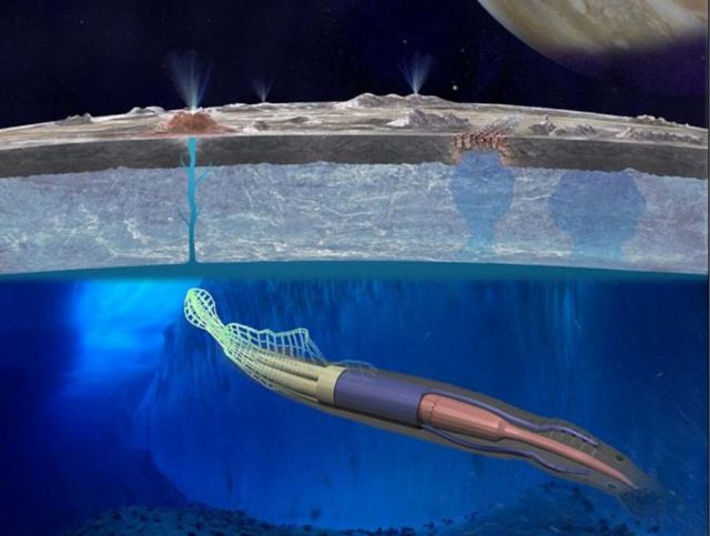 Robo-Squid will explore Europa