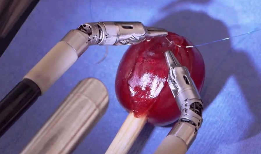 Robot stitches a grape back together