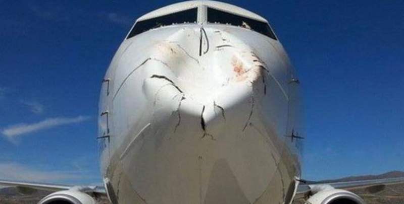 Bird strike to the nose of a Boeing 737