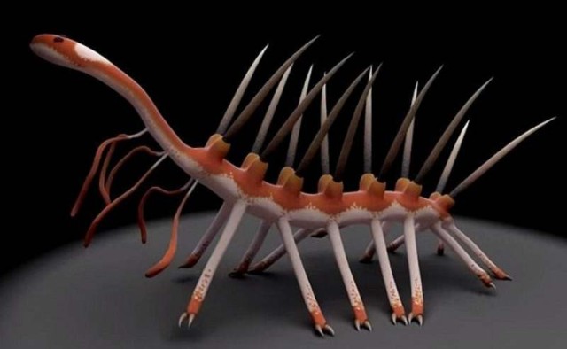 Hallucigenia sparsa