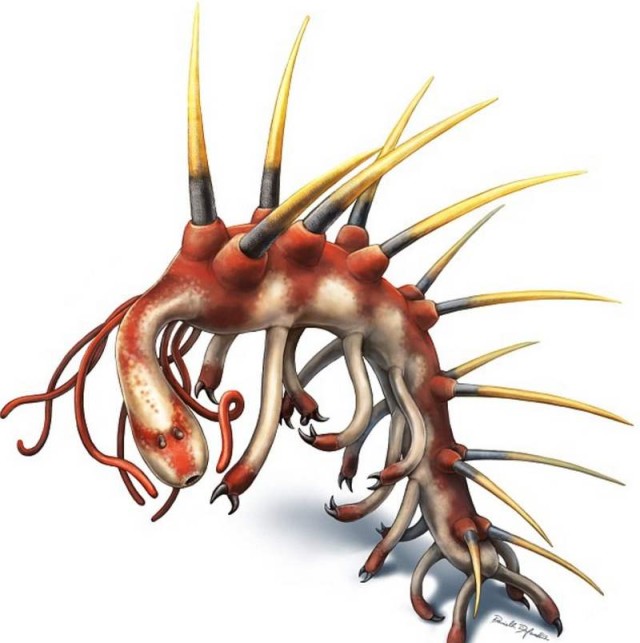 505-million-year-old Hallucigenia sparsa