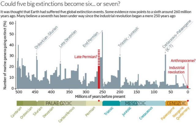 Mass Extinctions