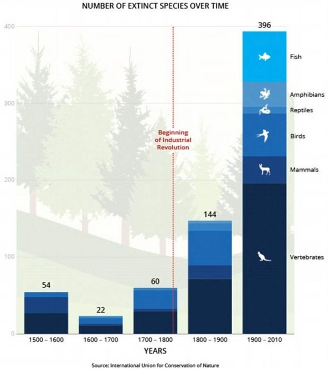 Mass Extinctions chart