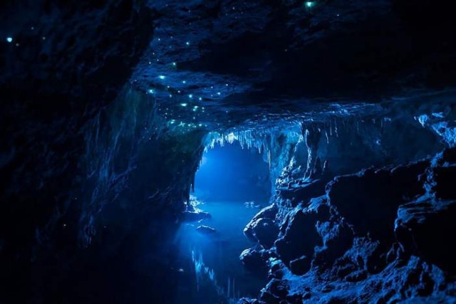 Glowworms in a New Zealand Cave (4)