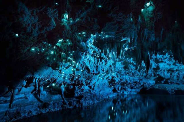 Glowworms in a New Zealand Cave (2)