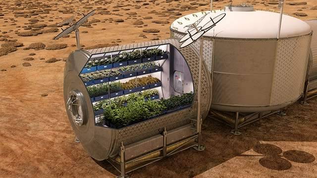 growing vegetables in space