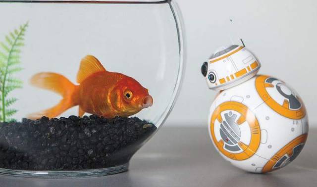 BB-8 new 'Star Wars' toy (4)