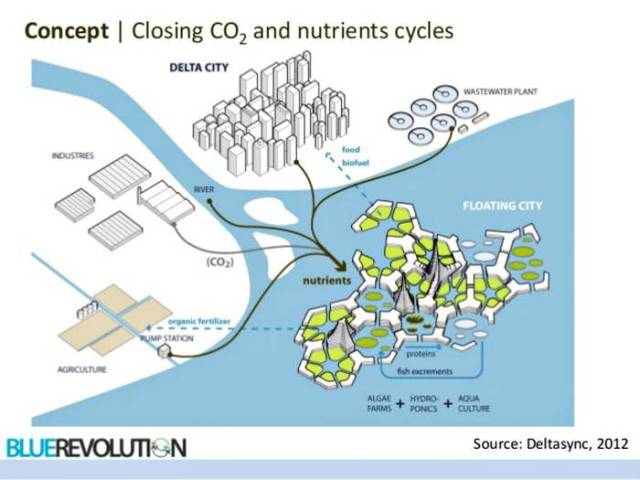 Floating Blue 21 ecosystem (3)