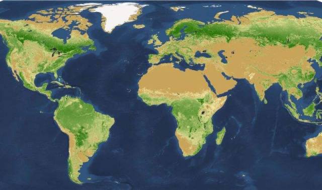 Global map of tree density at the square-kilometer pixel scale