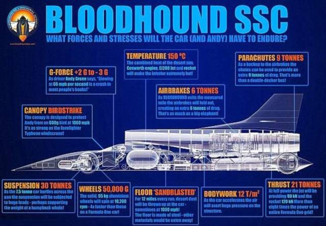 Bloodhound Project (6)