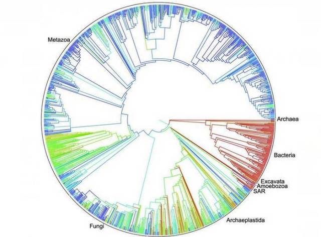 The new Tree of Life for 2.3 million species