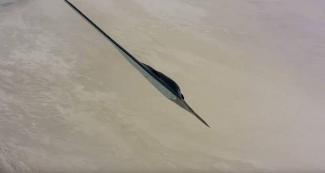 Air-to-air footage of a USAF B-2 stealth bomber (1)