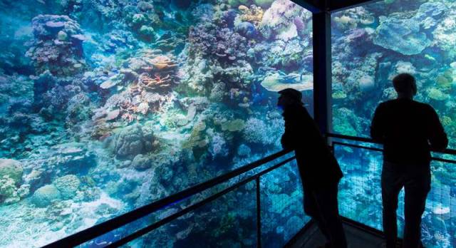 Majestic panorama of the great barrier reef (7)