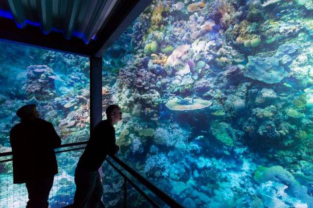 Majestic panorama of the great barrier reef (6)