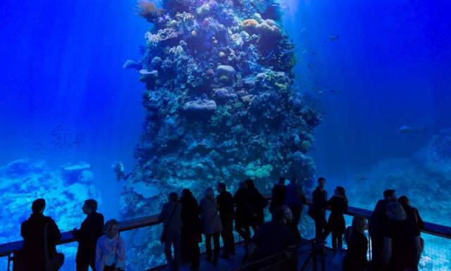 Majestic panorama of the great barrier reef (5)