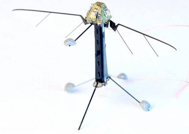 Miniature RoboBee can fly and swim