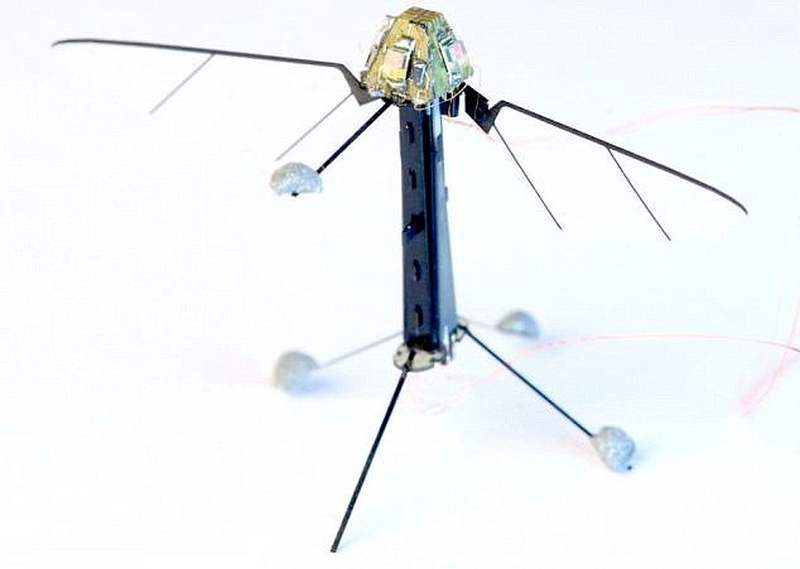 Miniature RoboBee can fly and swim