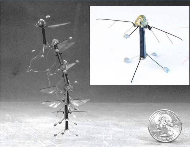 Miniature RoboBee can fly and swim (2)