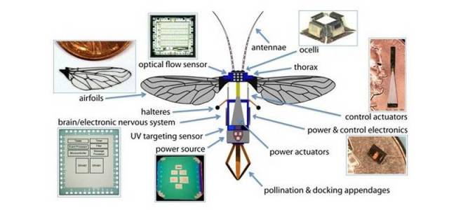 Miniature RoboBee can fly and swim (3)