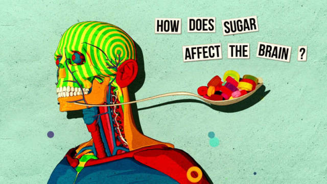 How sugar affects your Brain 