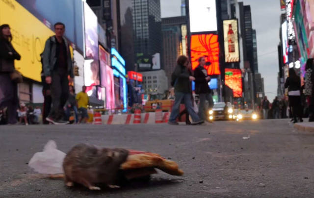 NYC Pizza Rat Robot (2)