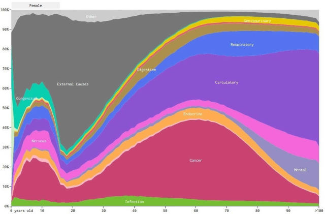 Causes of Death- visualized