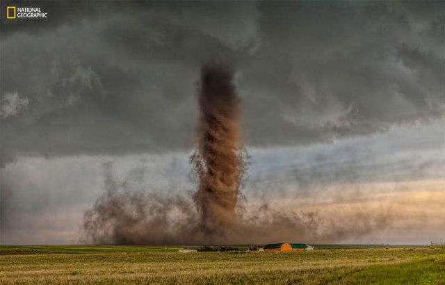 National Geographic reveals its top pictures of 2015