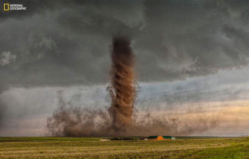 National Geographic reveals its top pictures of 2015 (12)