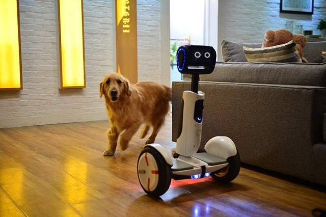 Segway Personal Robot (4)