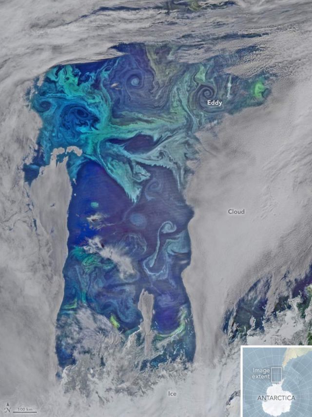 Oxygen Factories in the Southern Ocean